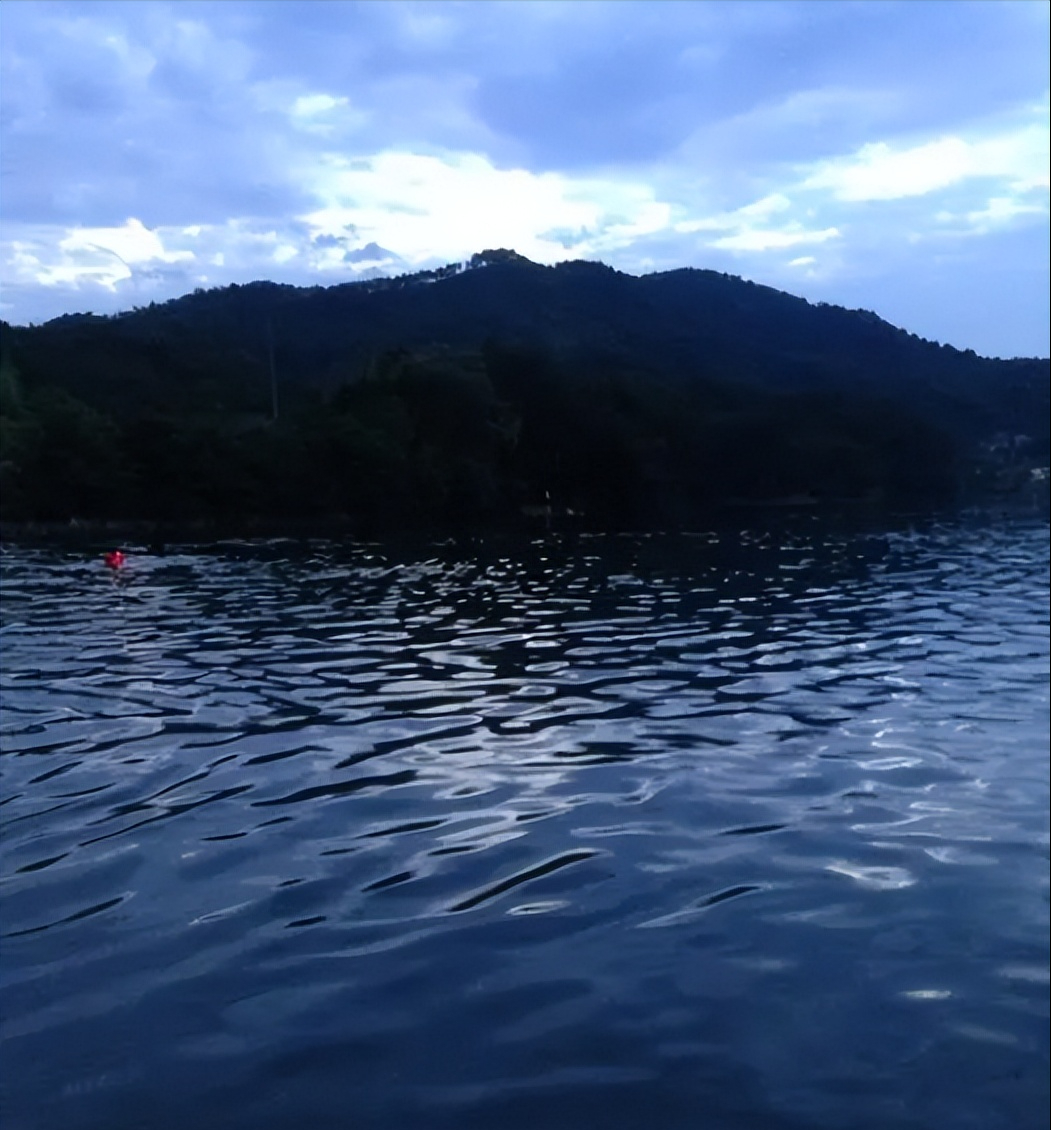 回顾一男子游泳被"水虎"拖走,费劲全力捉上岸一看近2米重52斤