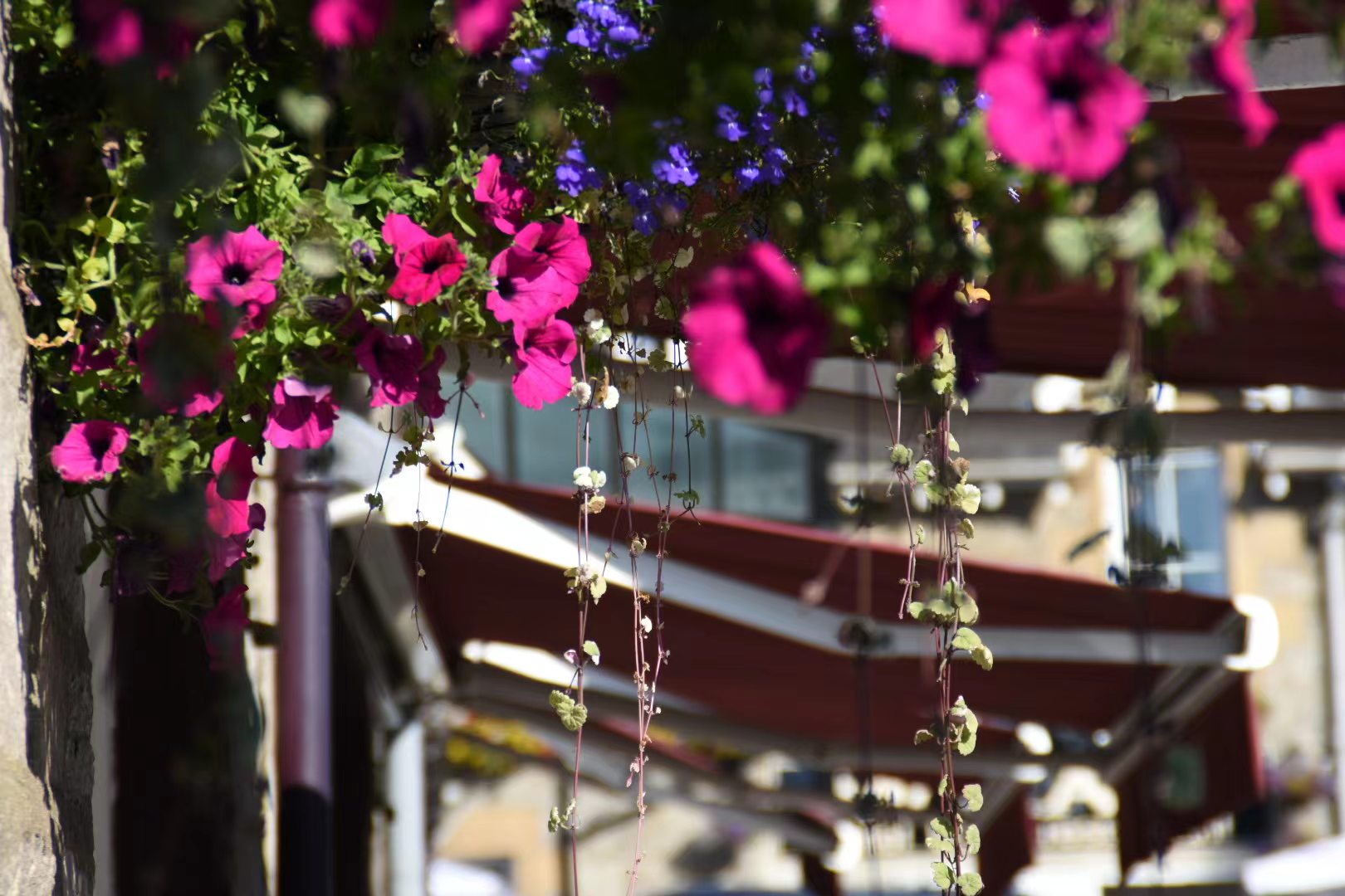 董卿:起跑线是由不得我们自己选的