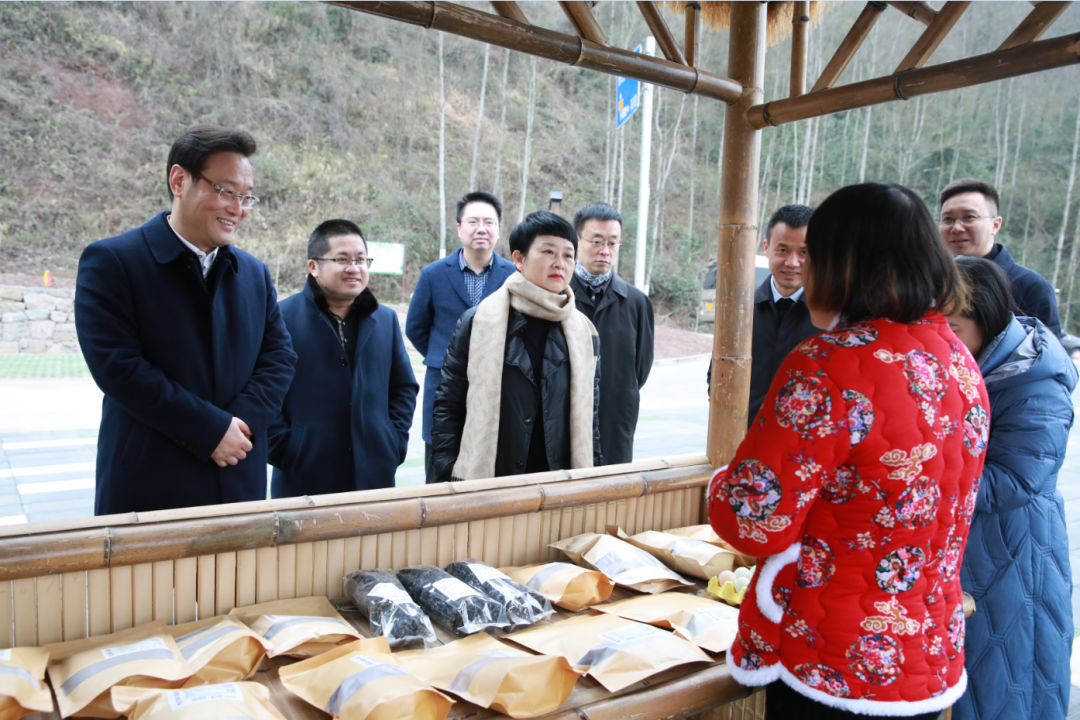 张华郭小萍调研桥头乡村振兴工作