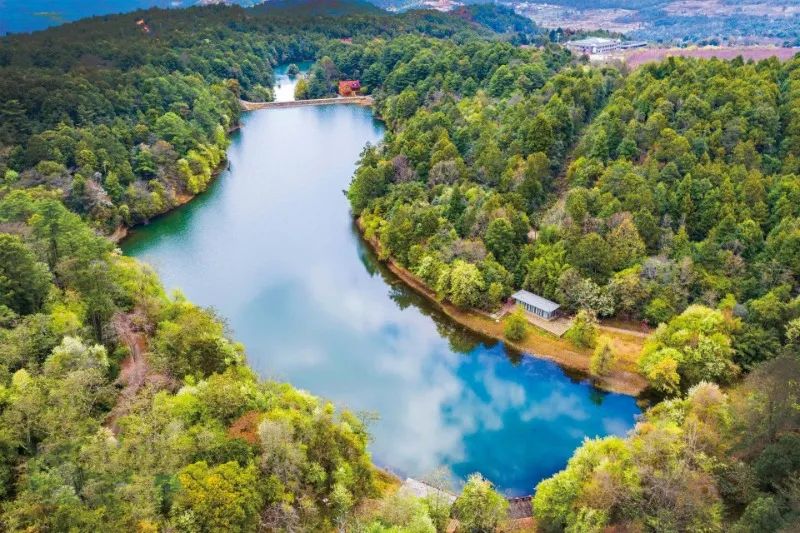 乐享云南|美景·新平磨盘山国家森林公园