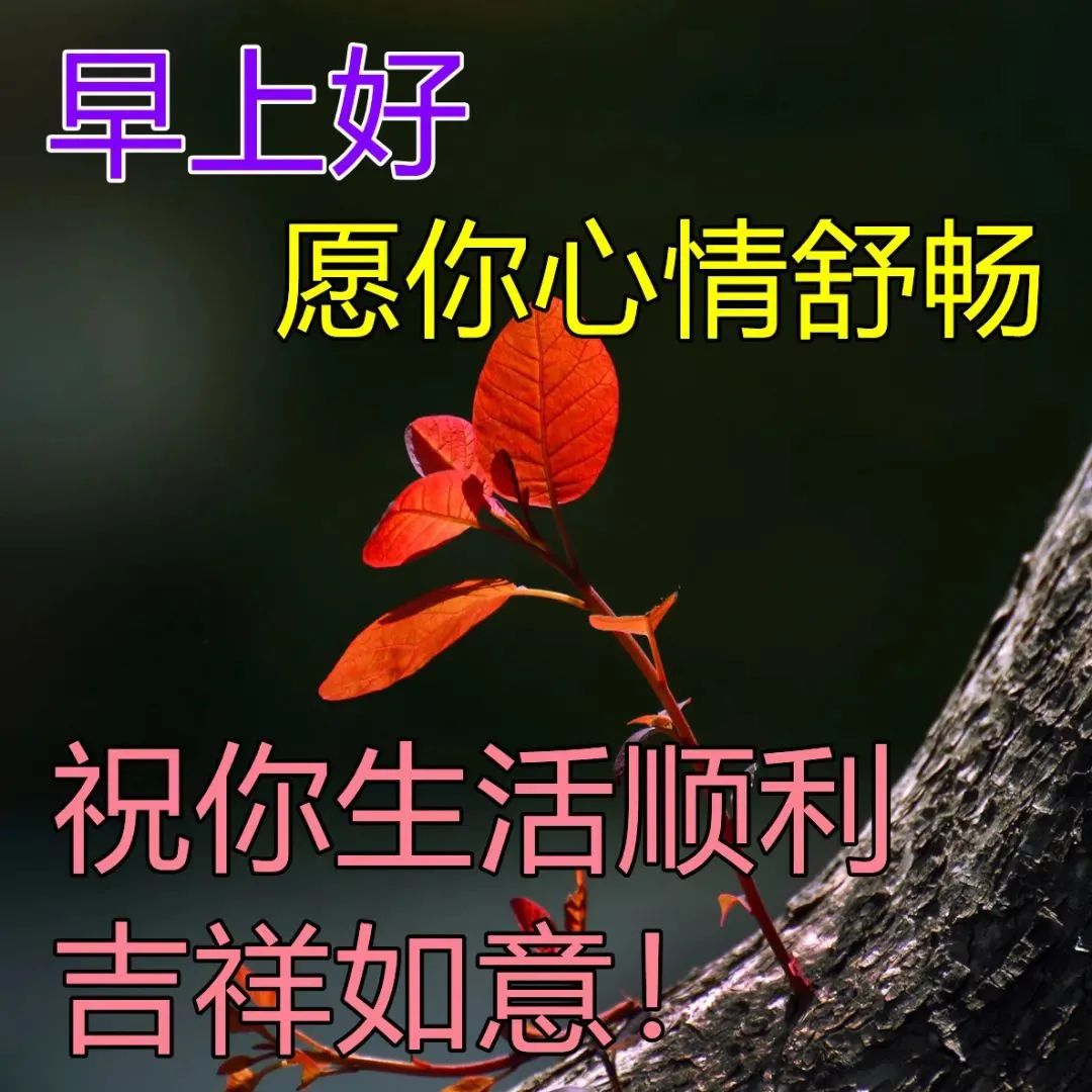 春季清晨問候大家早上好的暖心句子,早晨好美的祝福美圖送給大家