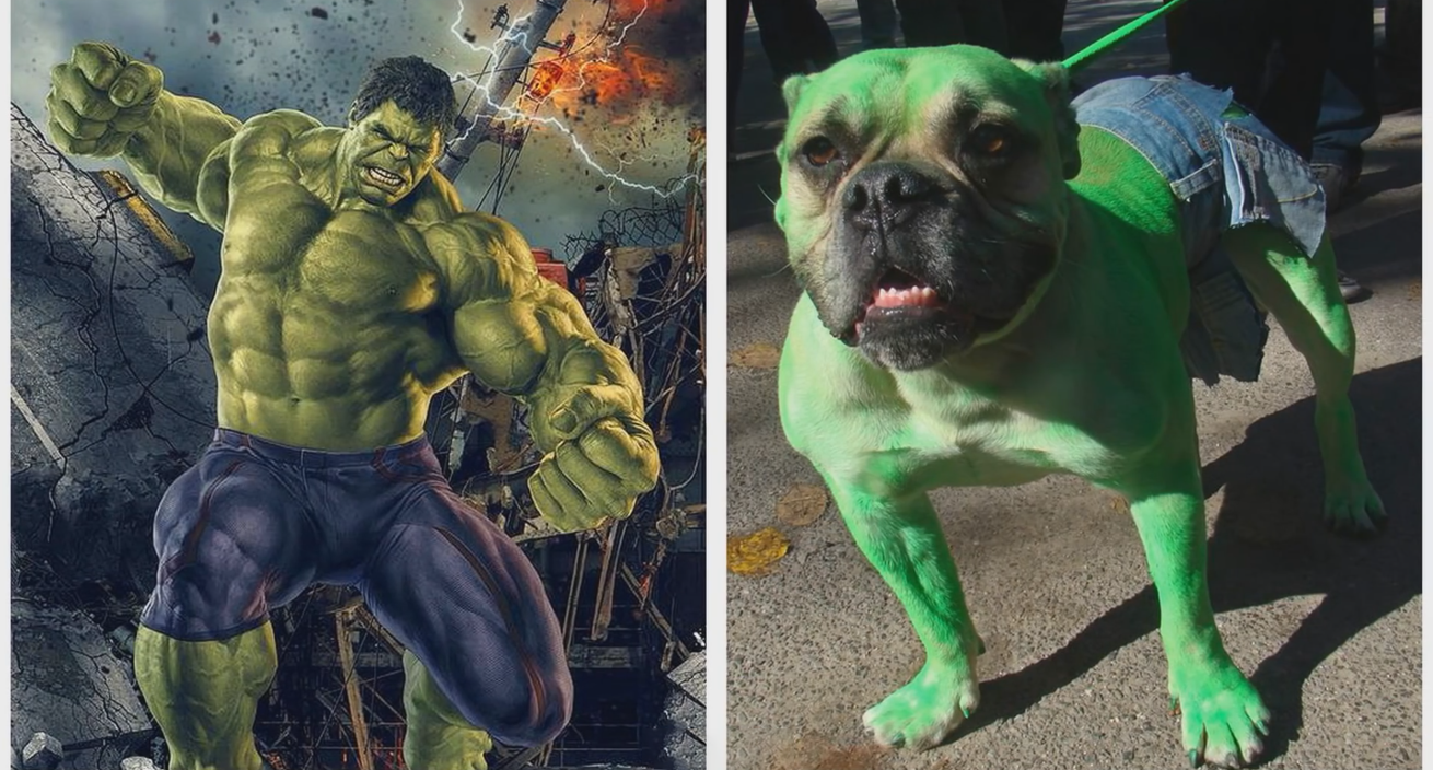 漫威,dc英雄变成狗狗,超人哈士奇呆头呆脑,肌肉犬浩克威武霸气