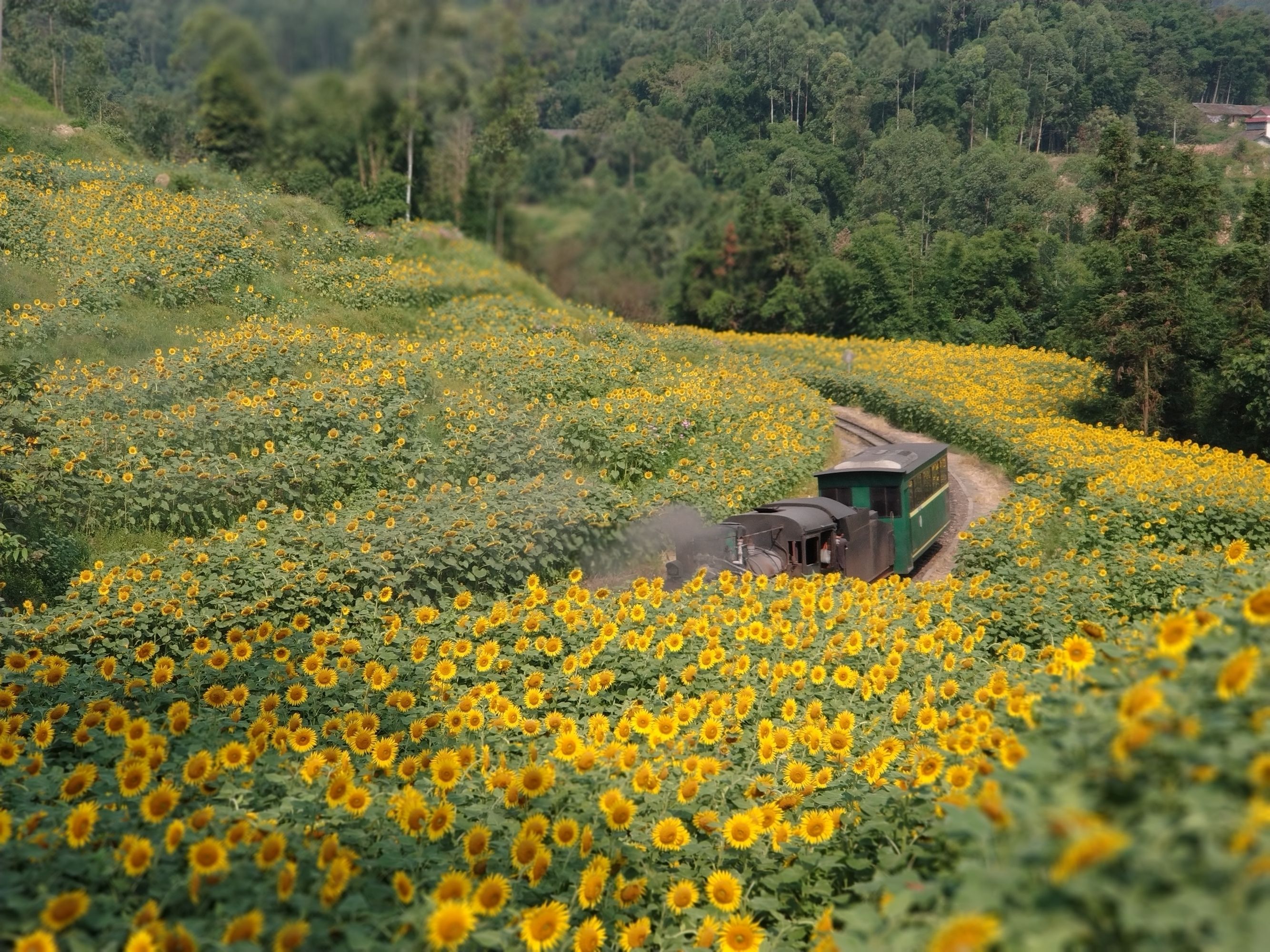 野三关旅游景点介绍