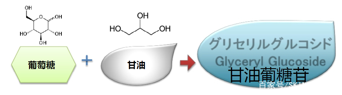 甘油糖苷 - 热门商品专区