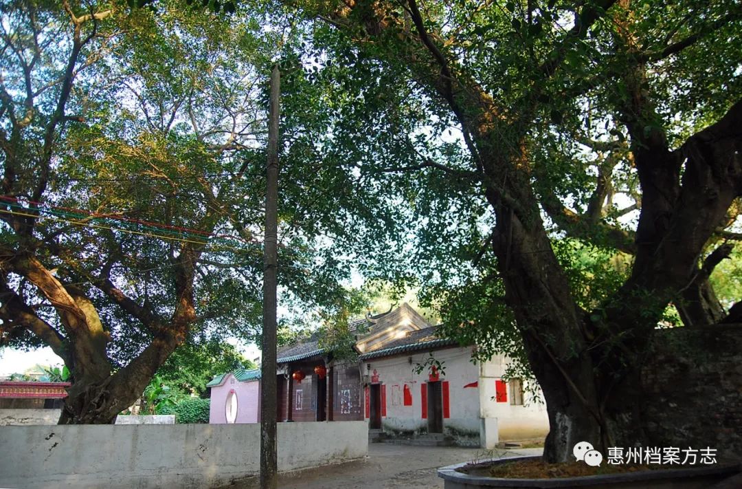 惠城马安龙塘村