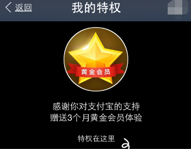 支付宝黄金会员有什么用