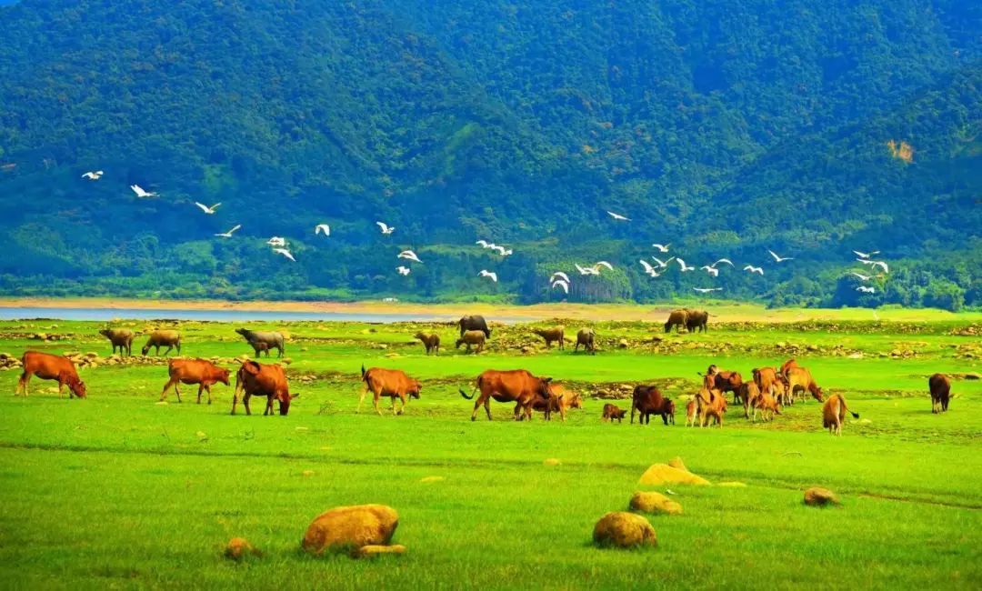 韶关秋日的寥廓壮美与闲适悠然,这十组关键词带你领略!