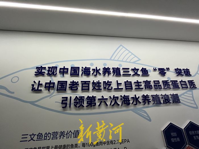 山东三文鱼养殖公司 三文鱼养殖牌照
