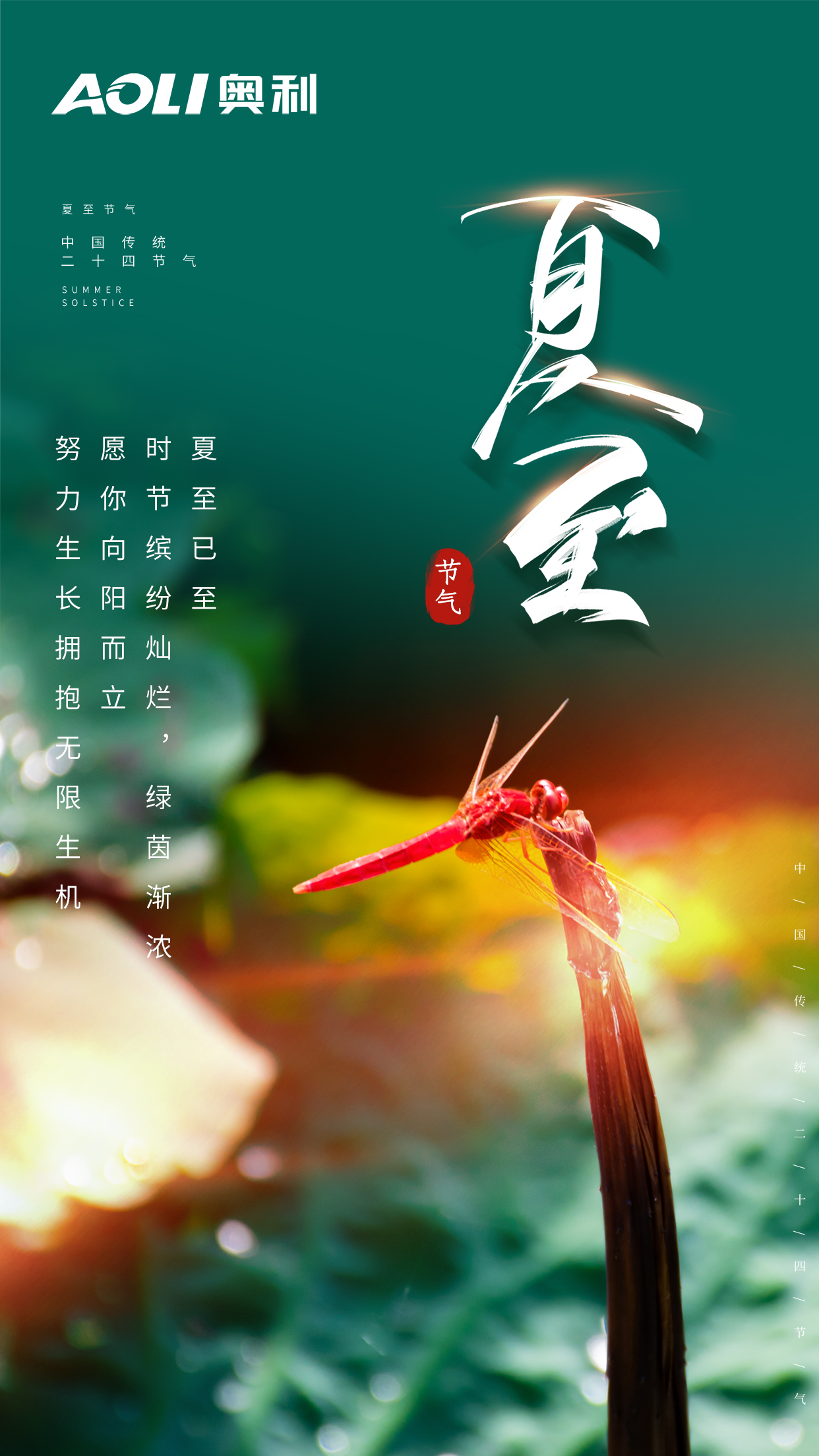 今日夏至|愿你向阳而立,努力生长拥抱无限生机