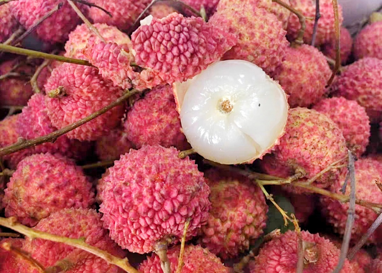 "桂味"价贵味又酸?认准6月荔枝品种上市表,口感味道才有保证