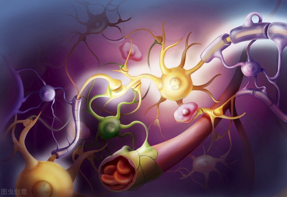 心理学:熬夜,真的会对脑细胞产生实质性损伤!