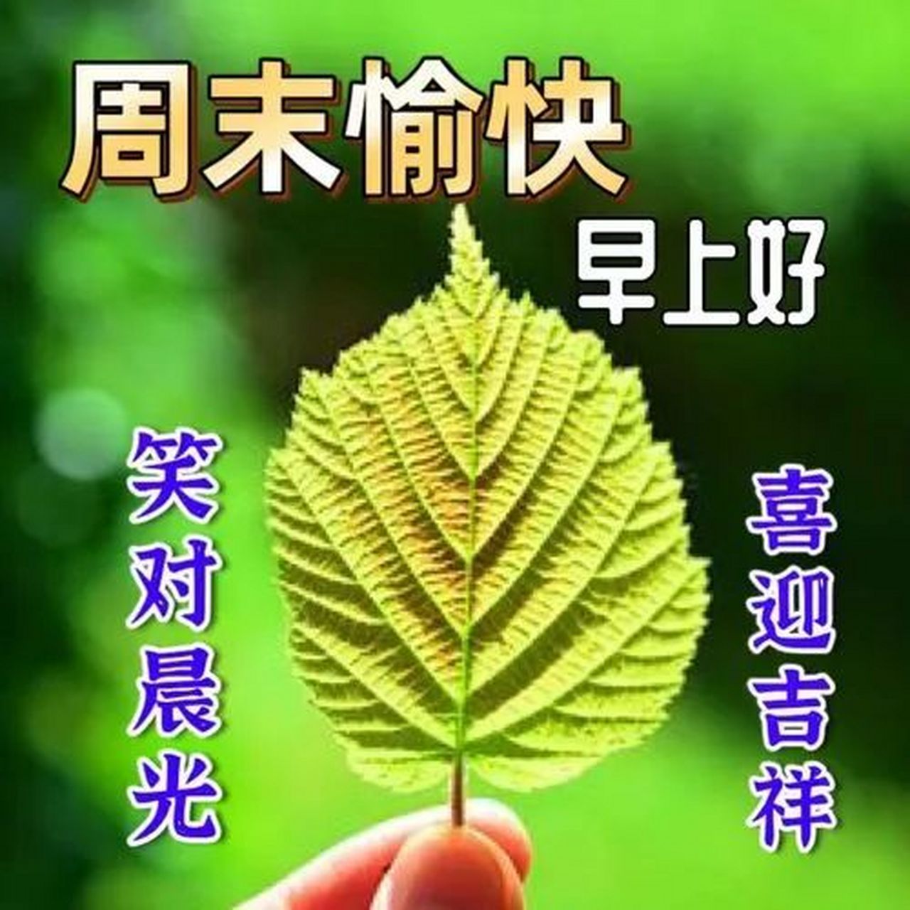 早上好周末愉快图片