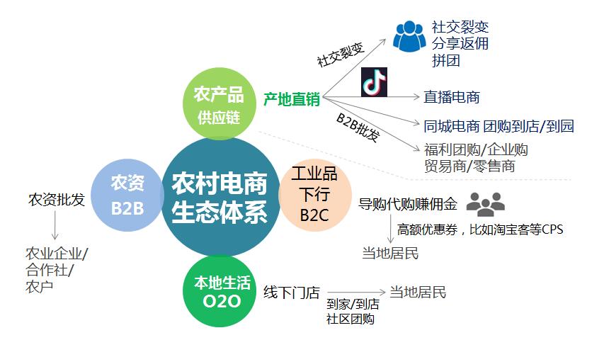 电商之都：义乌市场的活力与变革