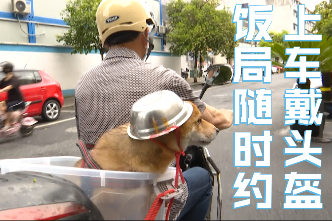为了骑行安全 他自己赶紧去买了一个想要表情包有网友说这是狗家积极
