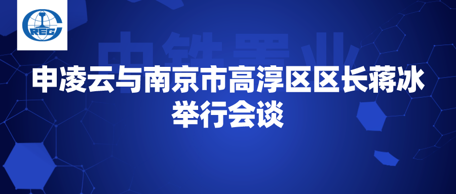 申凌云与南京市高淳区区长蒋冰举行会谈