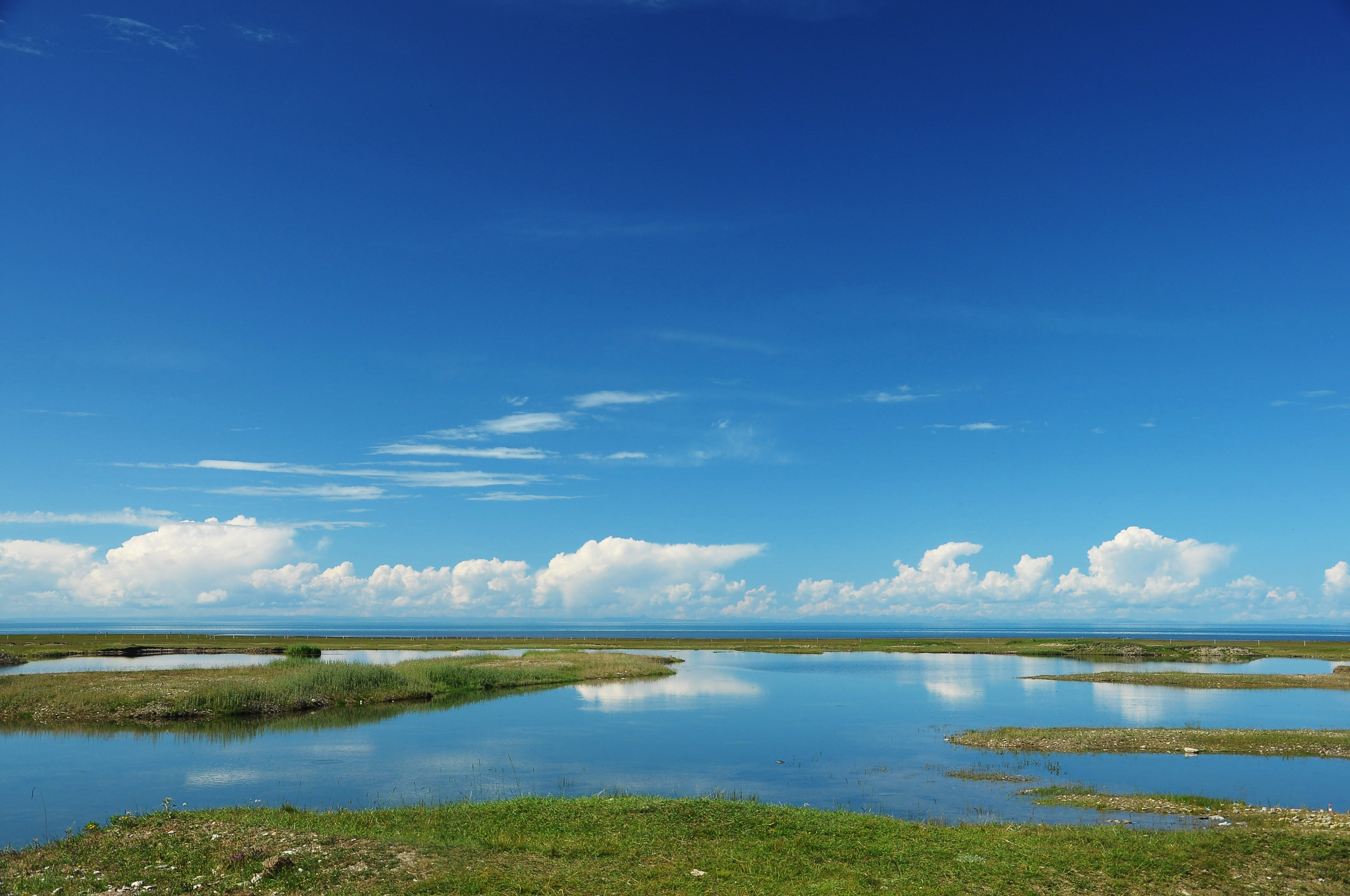 祁连山下青海湖畔,绘就大美生态画卷