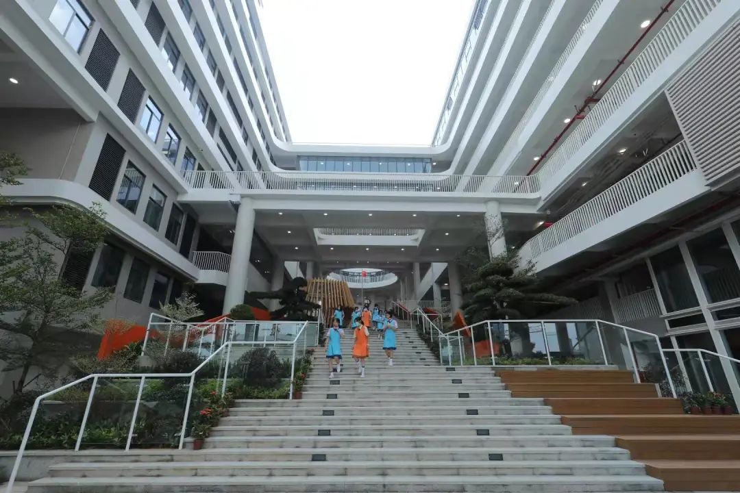 被吹捧过头?已入读深圳培侨还有必要回港吗?