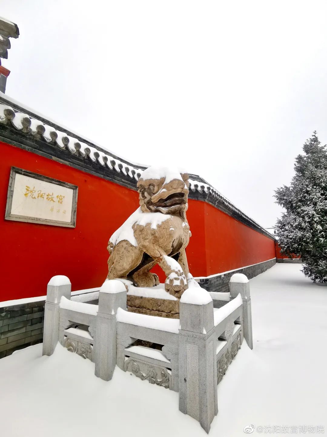 但雪中的沈阳故宫太美了!更美的还有