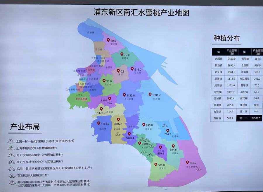 再过五年吃不到南汇水蜜桃?