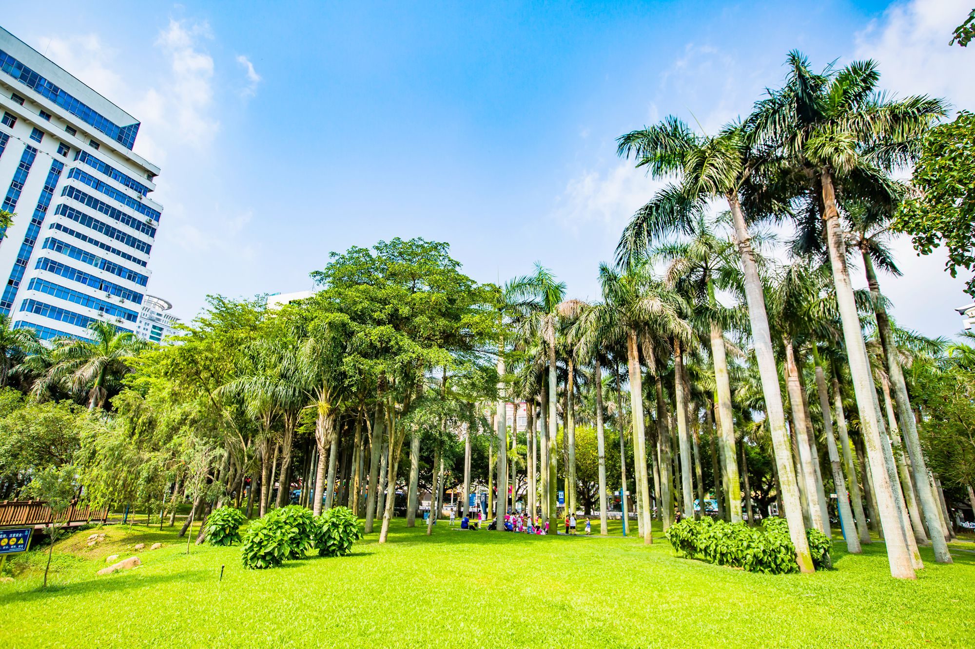 北海长青公园,风光旖旎,环境优美,是市民休闲娱乐的好去处