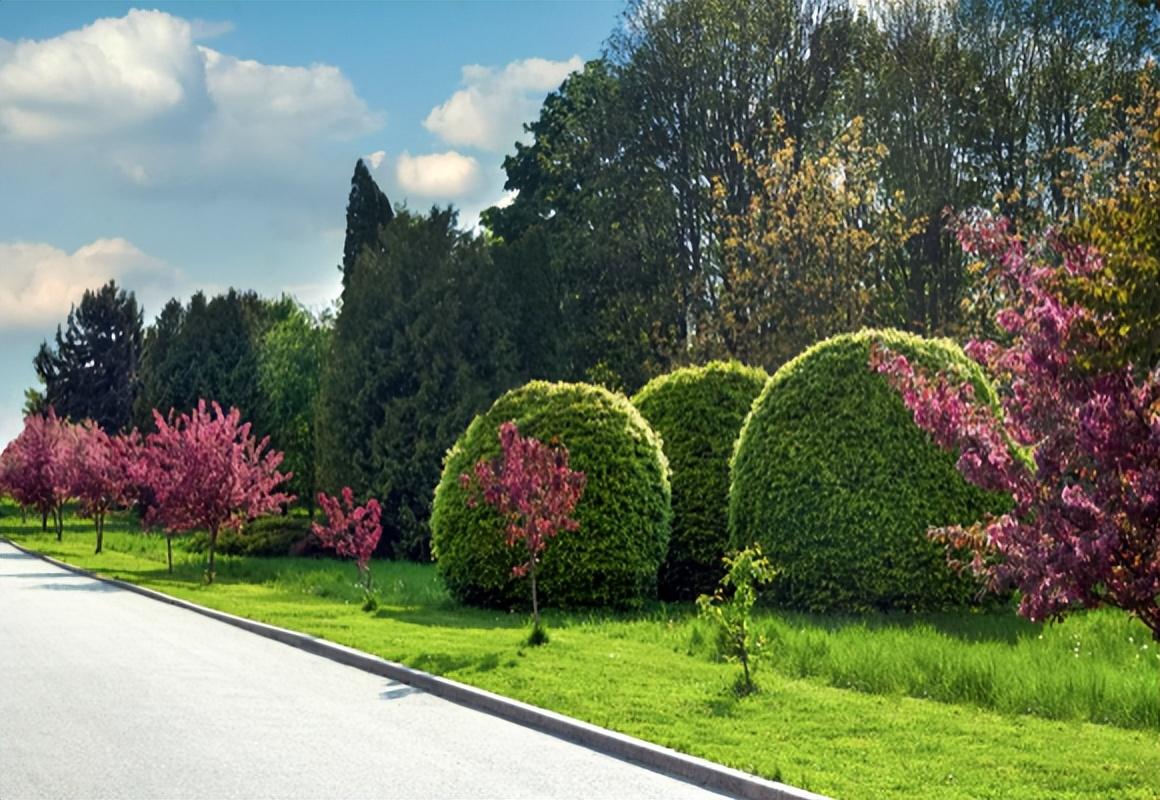 绿化带是提供绿色有机植物的条状地带,有专门的功用,是城市文明的醒目