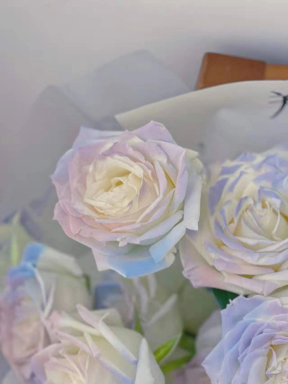 美哭了 这个感觉像是好几个颜色重叠出来的 真好看呀 #梦幻人鱼姬喷色