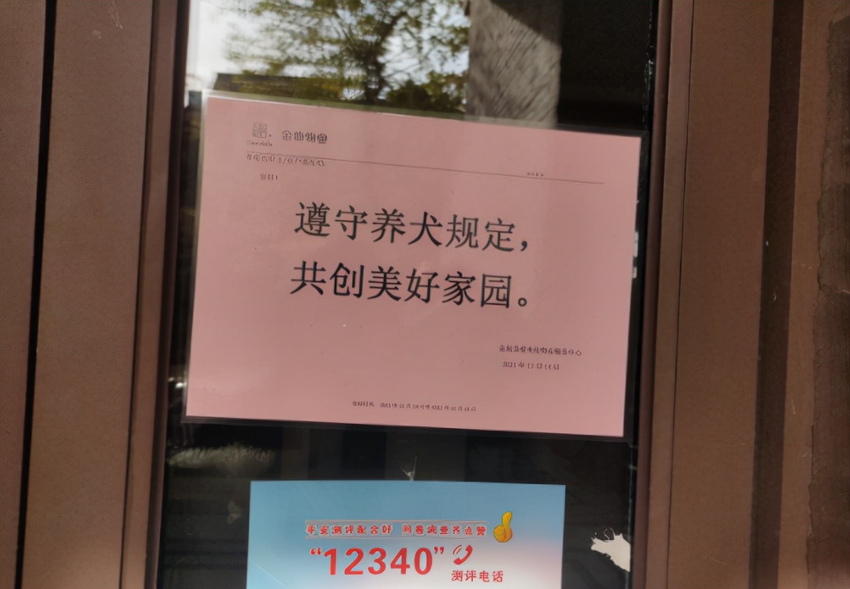 比安陽王更霸道,武漢女子被養狗老太逼得跳樓,物業只知道馬後炮