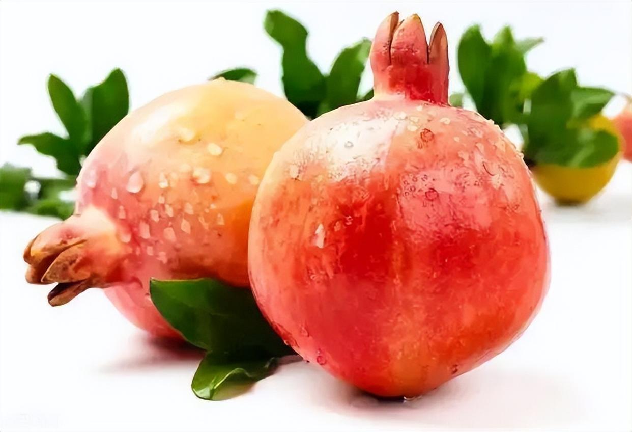 想种"网红水果"软籽石榴?掌握这些种植技巧很重要