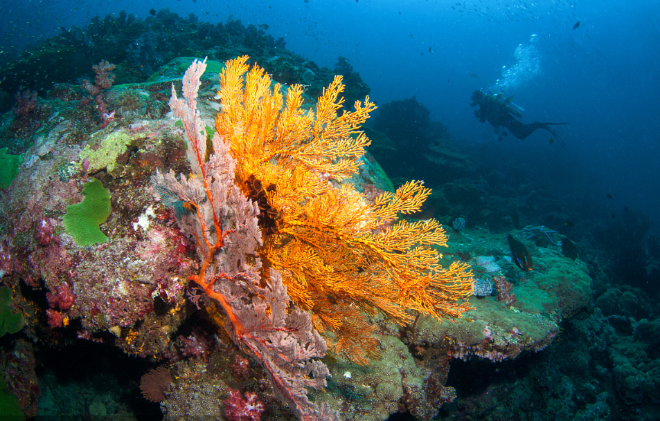 撼动心魄的巴丹群岛