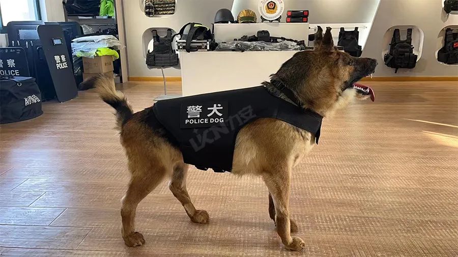 警犬专用防刺背心:具备防刺功能 印有"police"标识