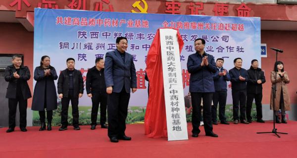 陝西中醫藥大學制藥廠在銅川市耀州區舉行中藥材種植基地揭牌儀式