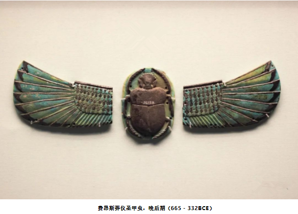 从屎壳郎到圣甲虫,古埃及人神秘的护身符