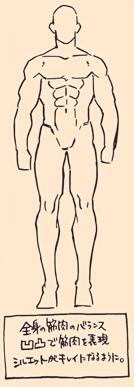 强壮的人怎么画?教你男生强壮肌肉的画法要点!