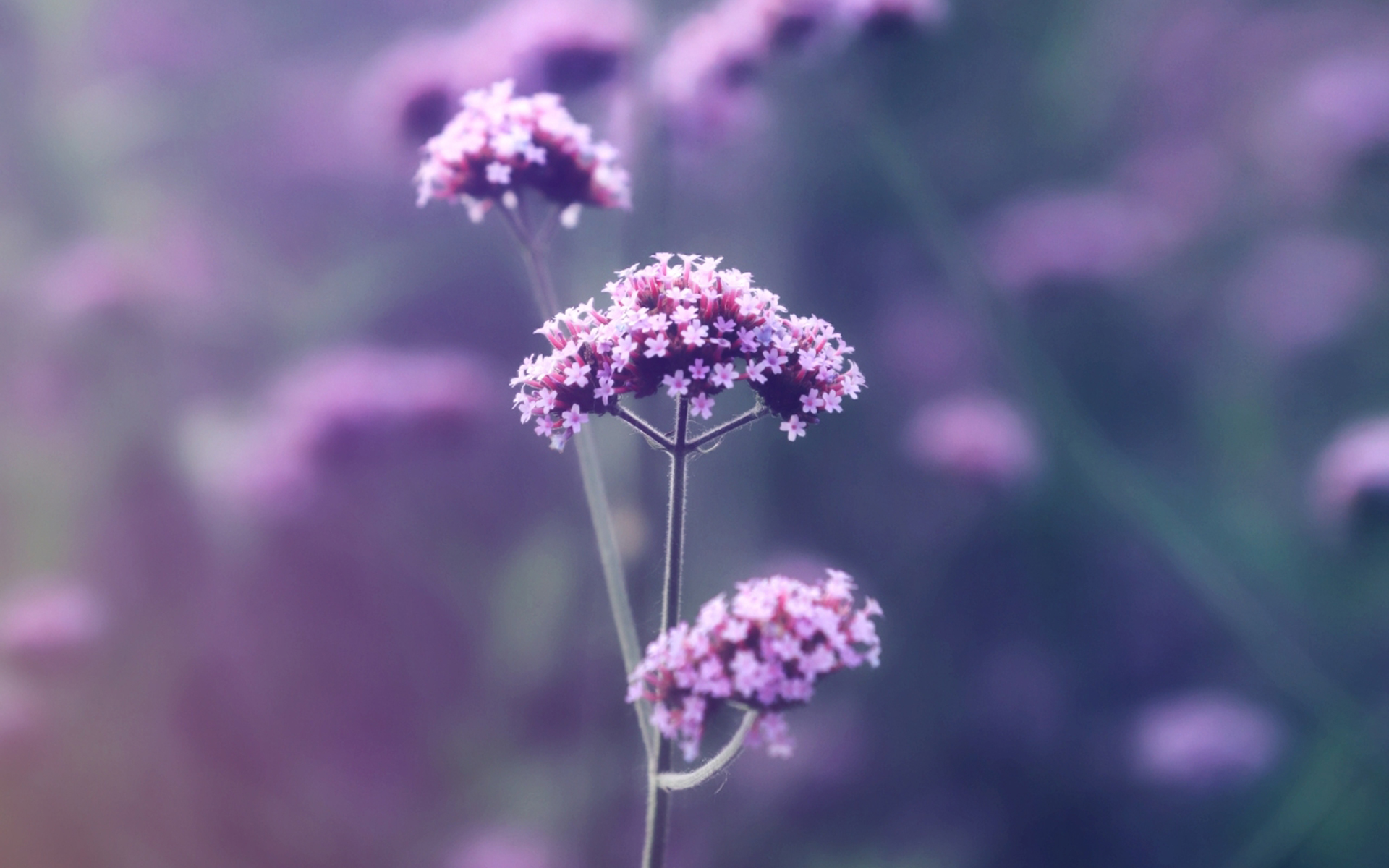 这样对你的人,人品不好,不值得你深交