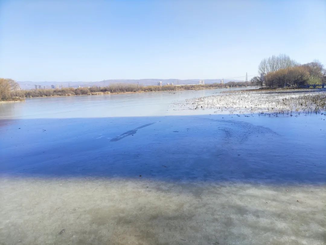 西安灞河终于上冻了,冰封的河面美得令人窒息