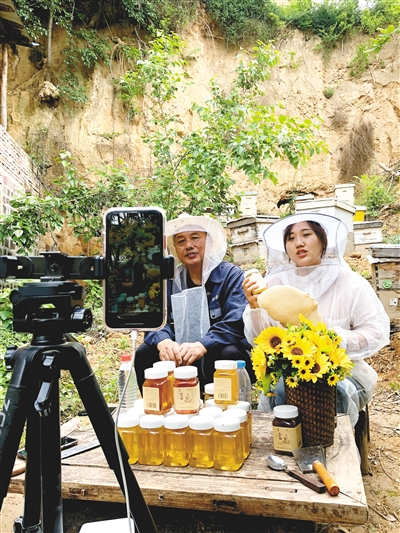 郑州女大学毕业继承祖业成为一名养蜂人 直播卖蜂蜜单日最高100万元