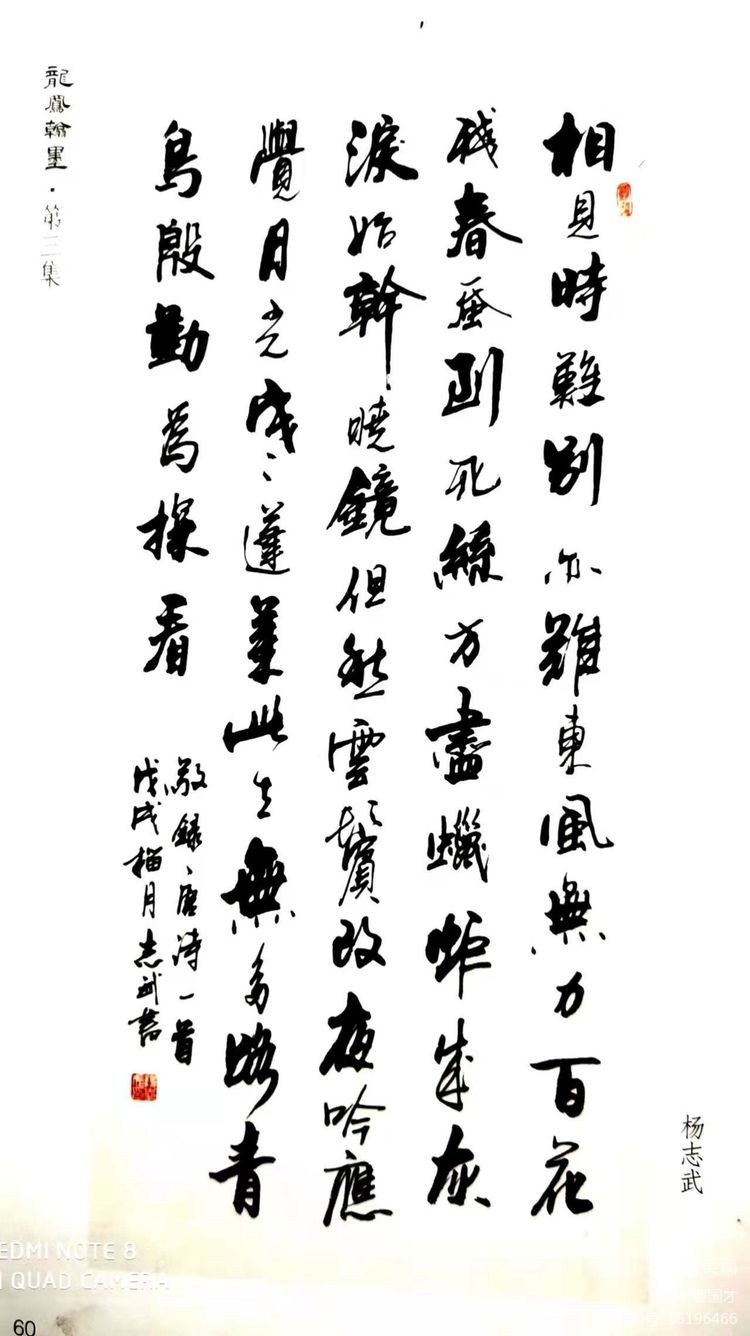 书法家杨志武先生