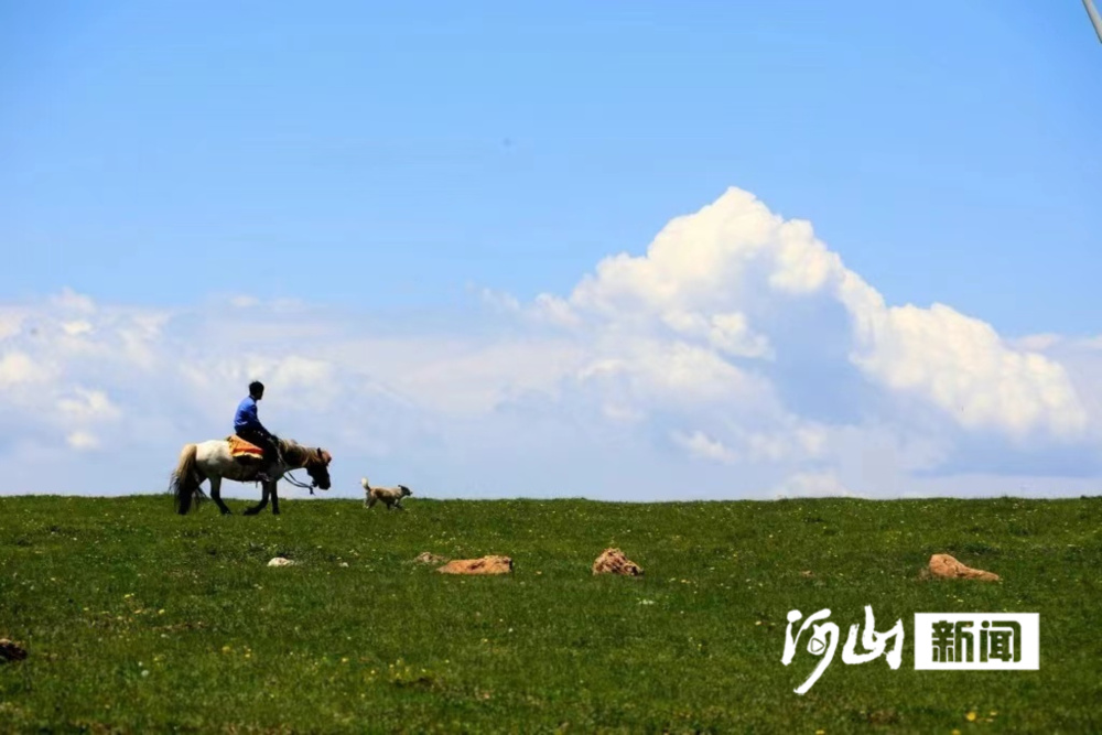 这么近,那么美,周末到河北丨蔚县61空中草原