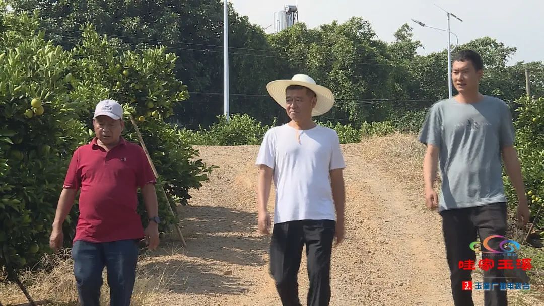 百名劳动者畅谈百年丨褚一斌:潜心铸造品牌农业