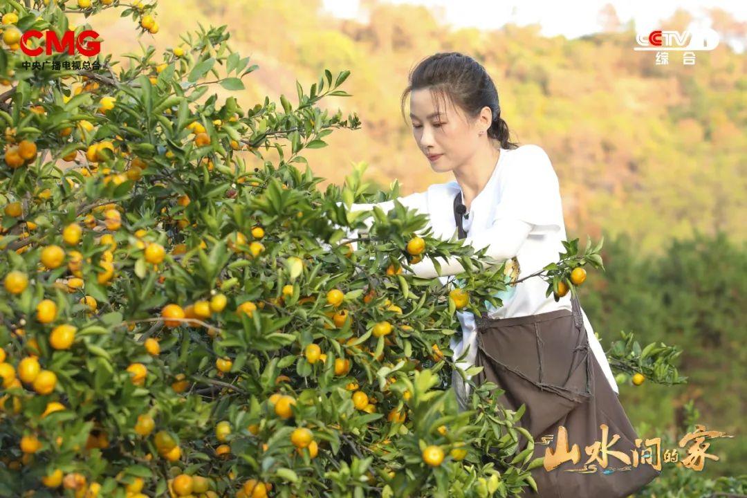 央视一套《山水间的家》,跟随主持人撒贝宁探寻南丰包坊村的自然之美