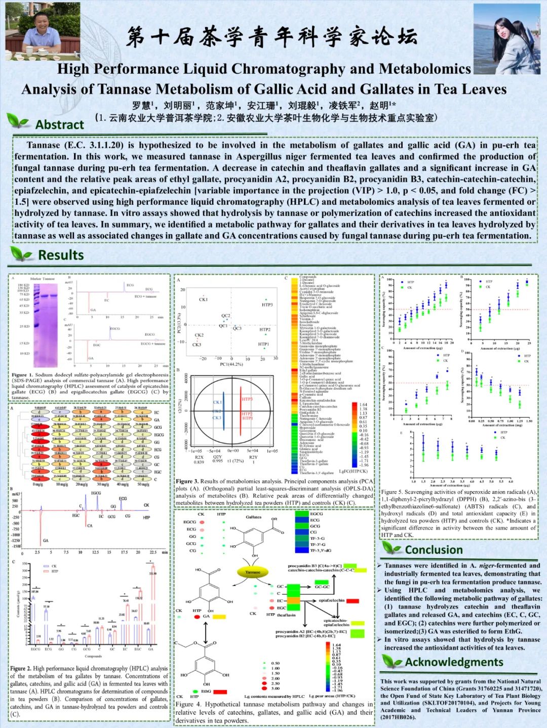 第十届茶学青年科学家论坛优秀墙报展示