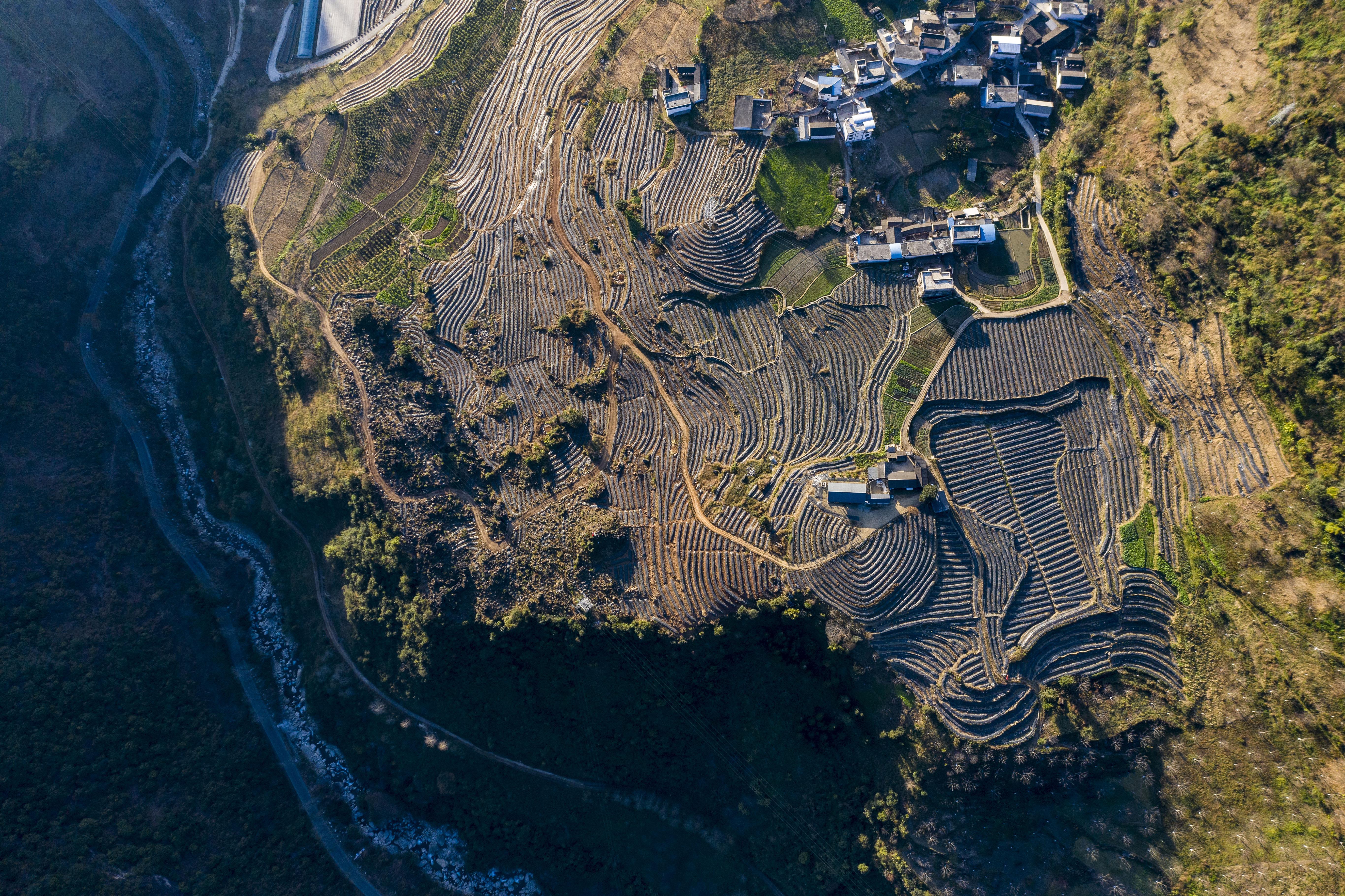 扶贫相册——老窝来了位"柑橘博士"(7)