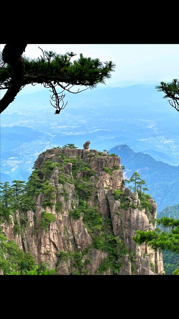 黄山奇石猴子观海图片