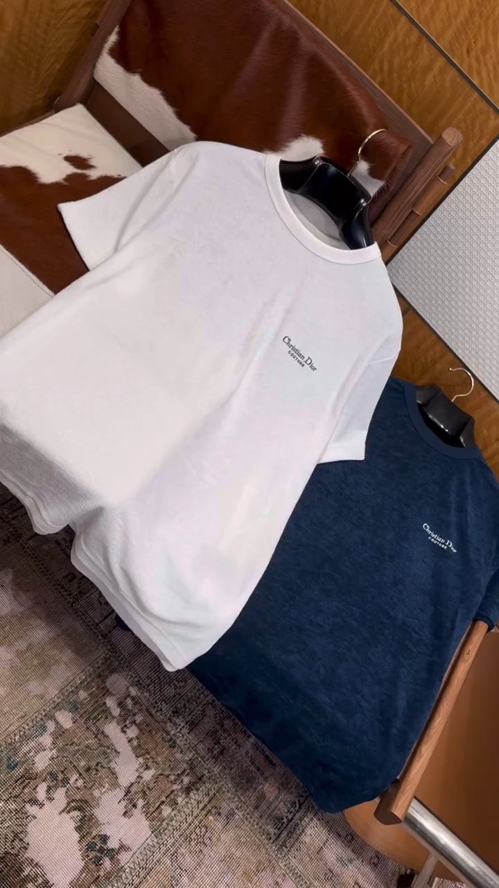 dior迪奥刺绣圆领短袖t恤