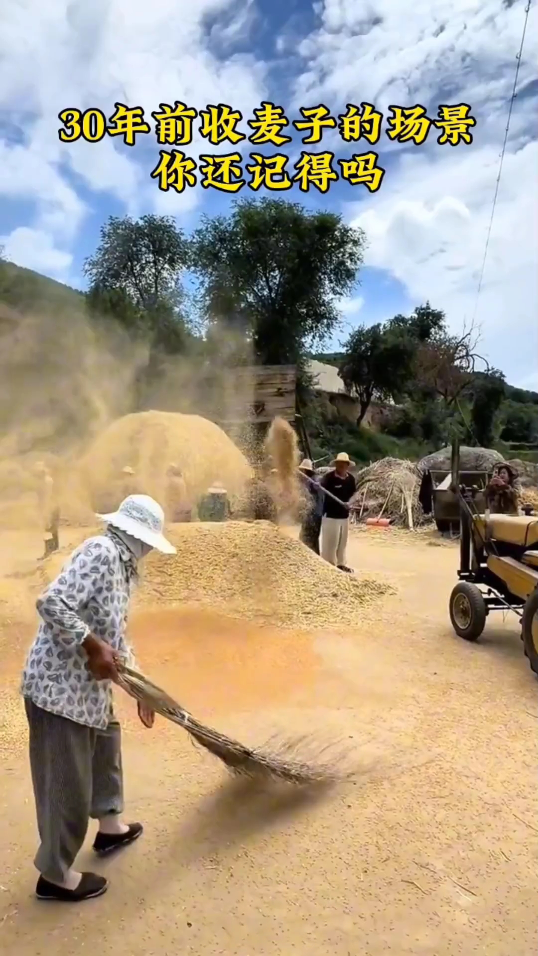 30年前收麦子的场景,你还记得吗?