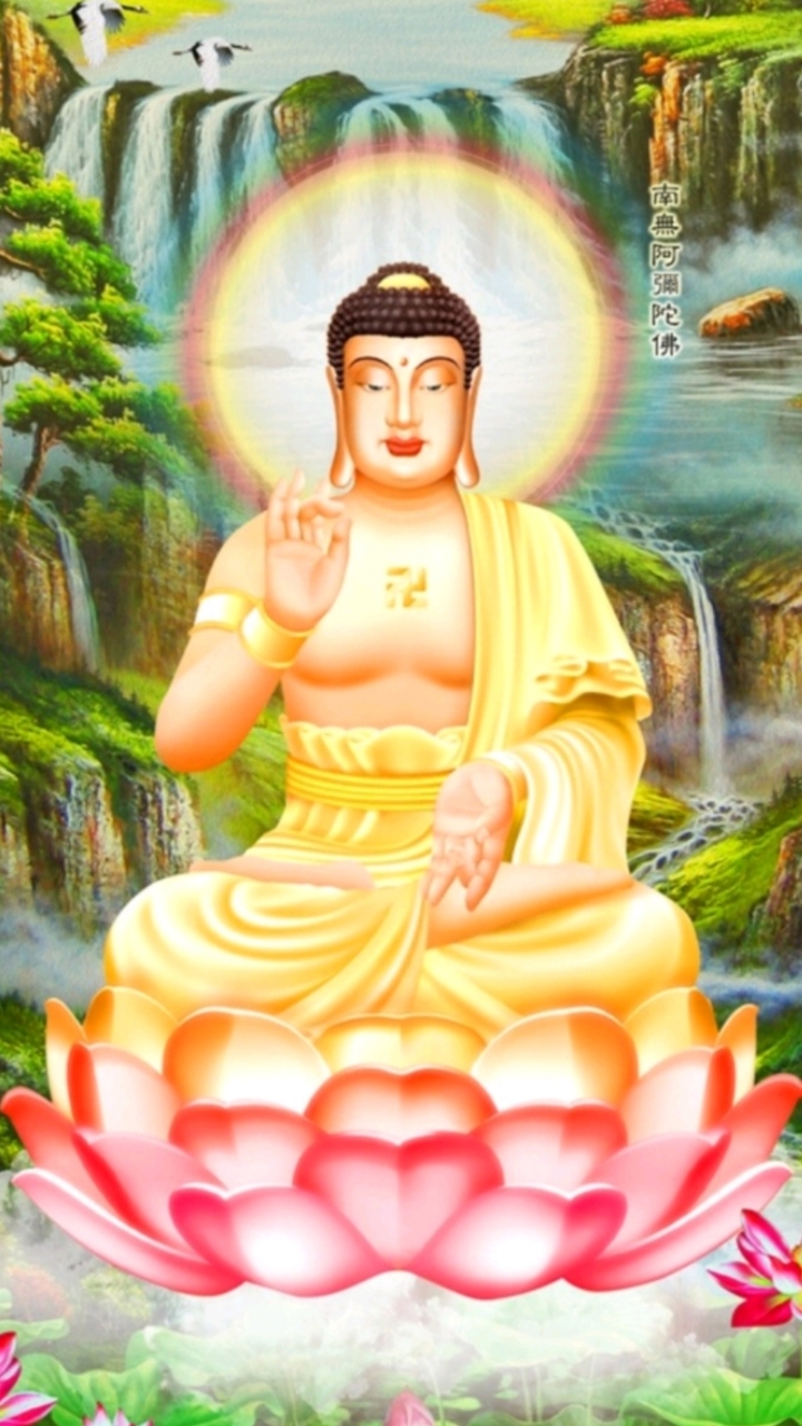 南无莲花尊丰如来