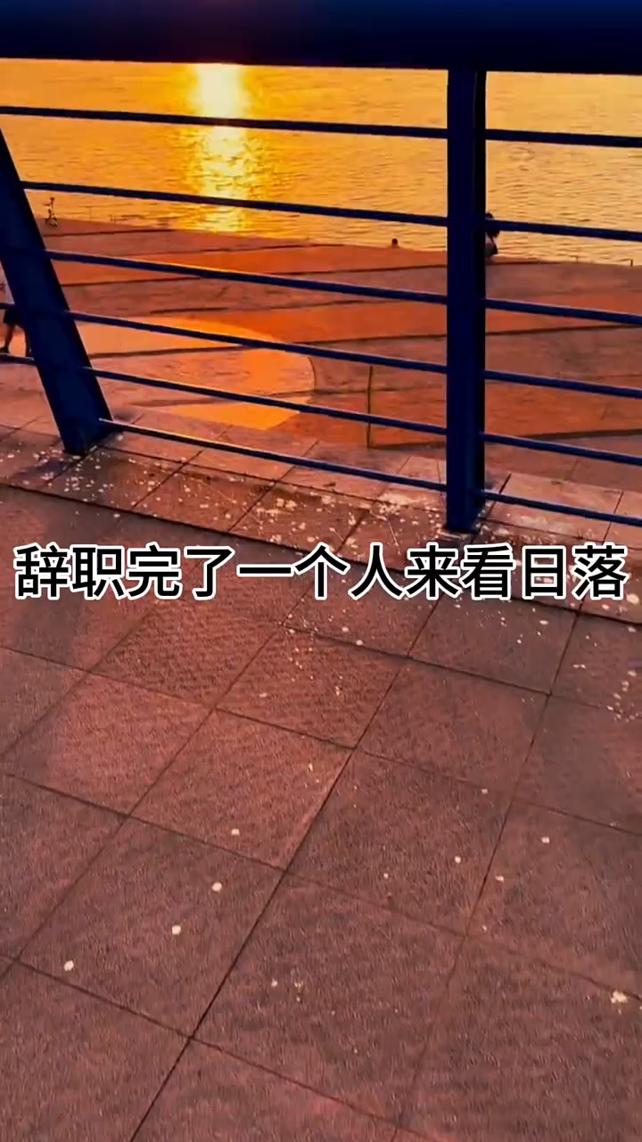 辞职卖大人玩具的第一天