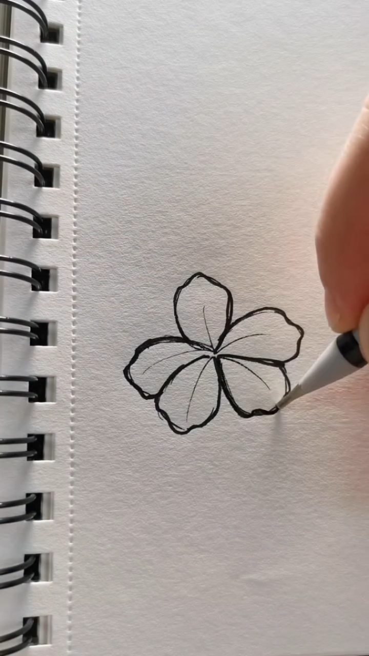 花卉素描速写绘画