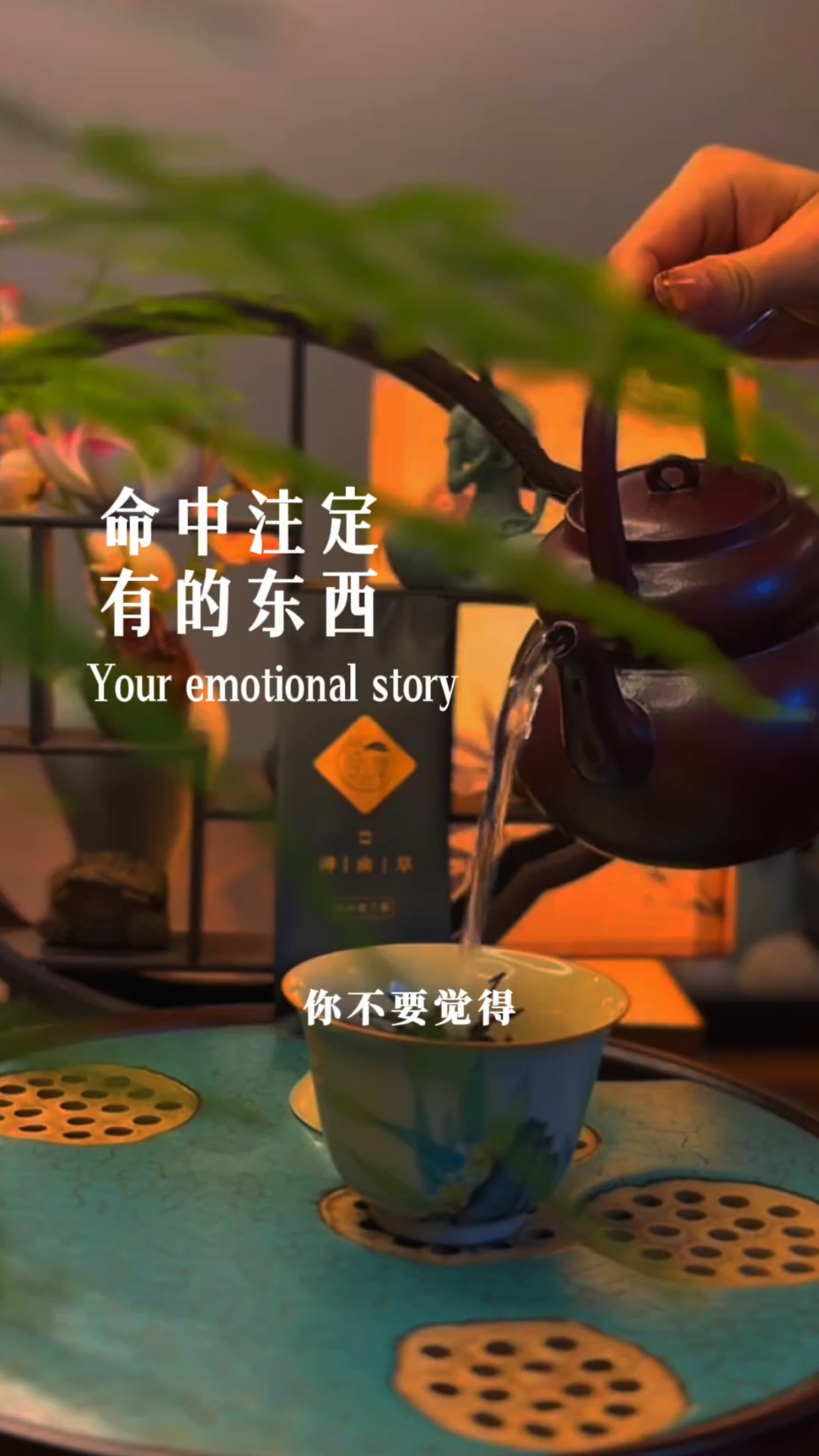 命里有时终须有,命里无时莫强求. 万般皆是命,半点不由人.
