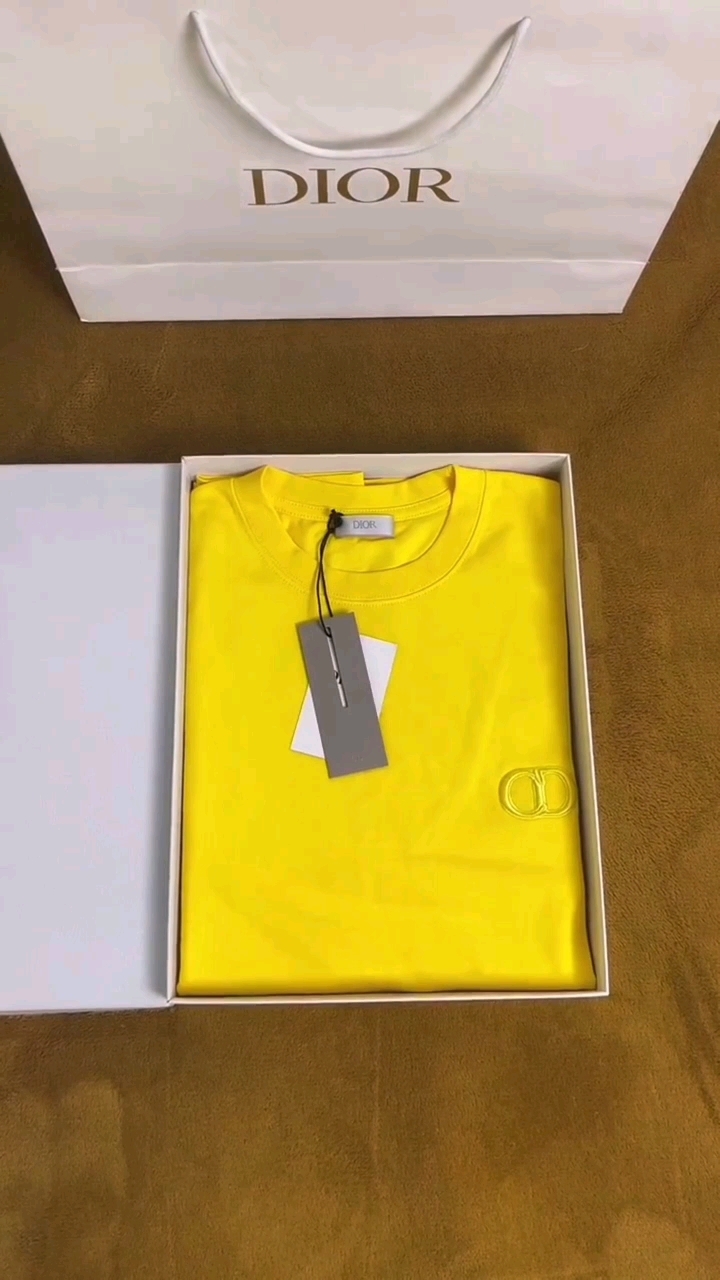 迪奥夏季男装t恤